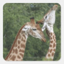 Search for necked stickers Wildlife