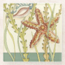 Search for shell coasters Chariklia zarris