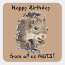 Search for squirrel nuts stickers Humour