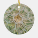 Search for oyster christmas tree decorations Nature