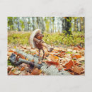 Search for toadstool postcards Autumn