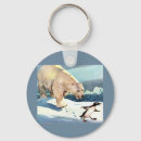 Search for polar bears key rings Global warming