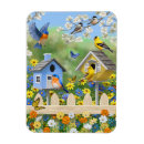 Search for bluebird magnets Flowers