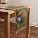 Search for lorikeet Rainbow
