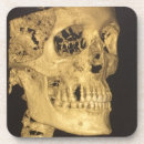Search for skull coasters Skeleton