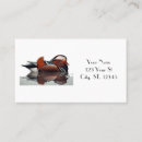 Search for duck hunting business cards Ducks