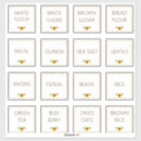 Search for sunflower food storage Minimalist