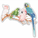 Search for cockatoo stickers Macaw