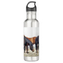 Search for horse lover water bottles Farm animals