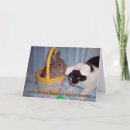 Search for funny cat easter cards Humour