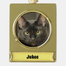 Search for pet supplies For pets