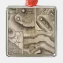 Search for geology christmas tree decorations Shown