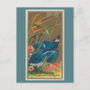 Search for birds of america postcards Wings