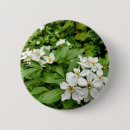 Search for petal badges Flora