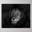 Search for male art Wild