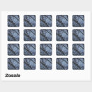 Search for tree envelope seals Animal