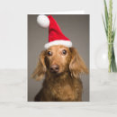 Search for studio shot cards Santa claus