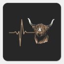 Search for scottish highland cow stickers Calf