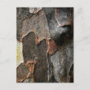 Search for georgia postcards Nature photography