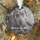 Search for pet memorial ornaments Remembrance