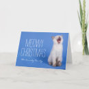 Search for shot photo cards Animal