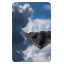 Search for bomber magnets Stealth
