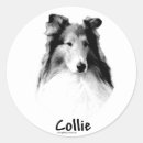 Search for rough stickers Collie