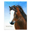 Search for ponies art Dressage