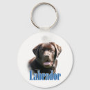 Search for labrador dog key rings Chocolate lab