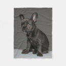 Search for french bulldog blankets Puppy