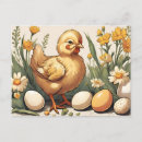 Search for vintage easter chicks postcards Baby chick