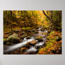 Search for mountains in fall posters Forest