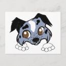 Search for akc postcards Pet