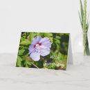 Search for blank sympathy cards Flowers