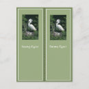 Search for bookmark postcards Colourful