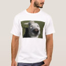 Search for santa fe tshirts Black