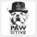 Search for pawsitivity stickers Stay pawsitive