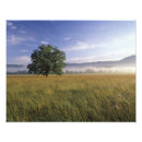 Search for smokey mountain posters Adam jones