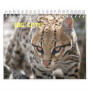 Search for big cat calendars Leopard