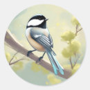 Search for chickadee stickers Nature