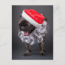 Search for beard christmas cards Cute animals