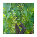Search for grapevine tiles Europe