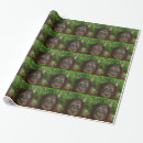 Search for faces wrapping paper Green