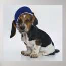 Search for hound photography Puppy