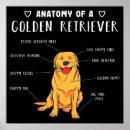 Search for funny anatomy posters Dog lover