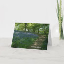Search for bluebell cards Woodland