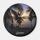 Search for guam Palm