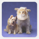 Search for cat and dog stickers Animal