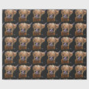 Search for cow wrapping paper Cute