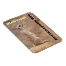 Search for excavator magnets Animal